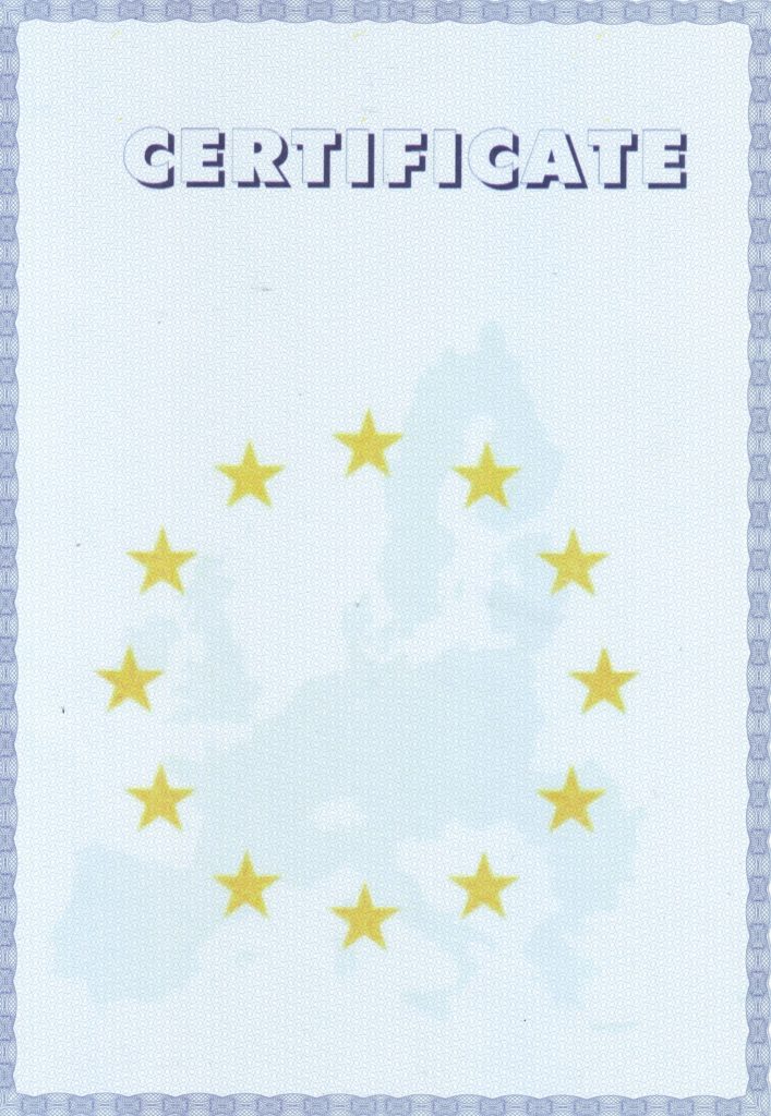 купить сертификат английского для пмж